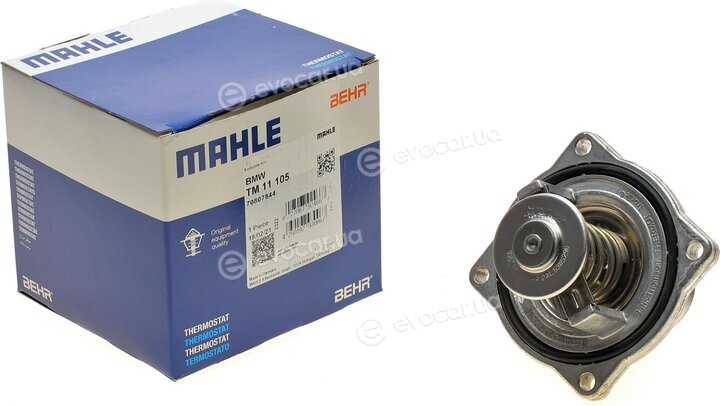 Mahle TM 11 105