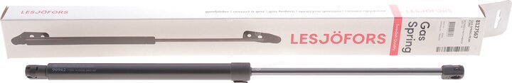 Lesjofors 8127567