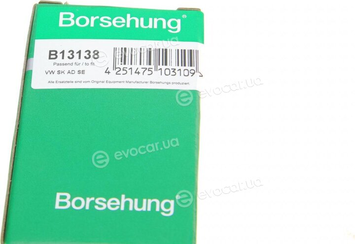 Borsehung B13138