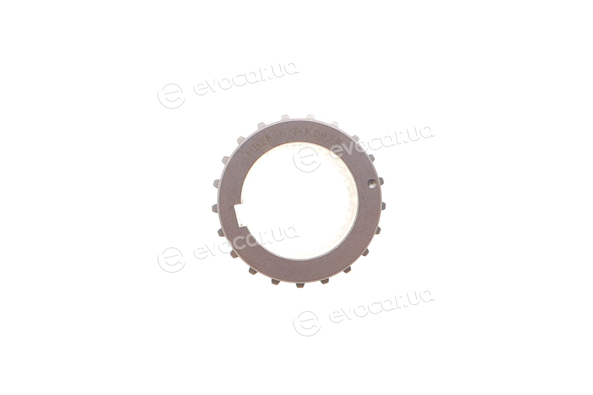 Motive TCK304