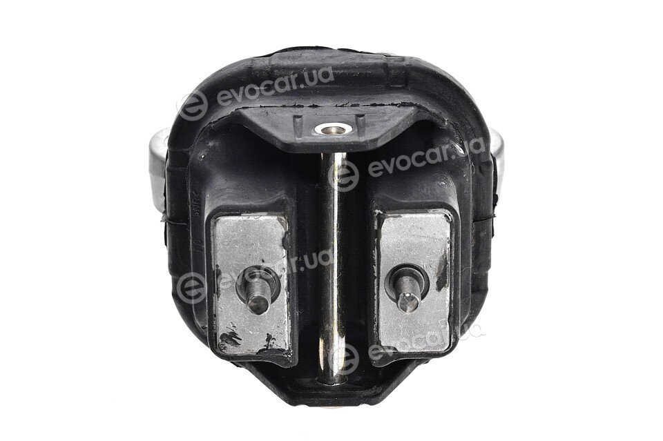 NTY ZPS-CH-019