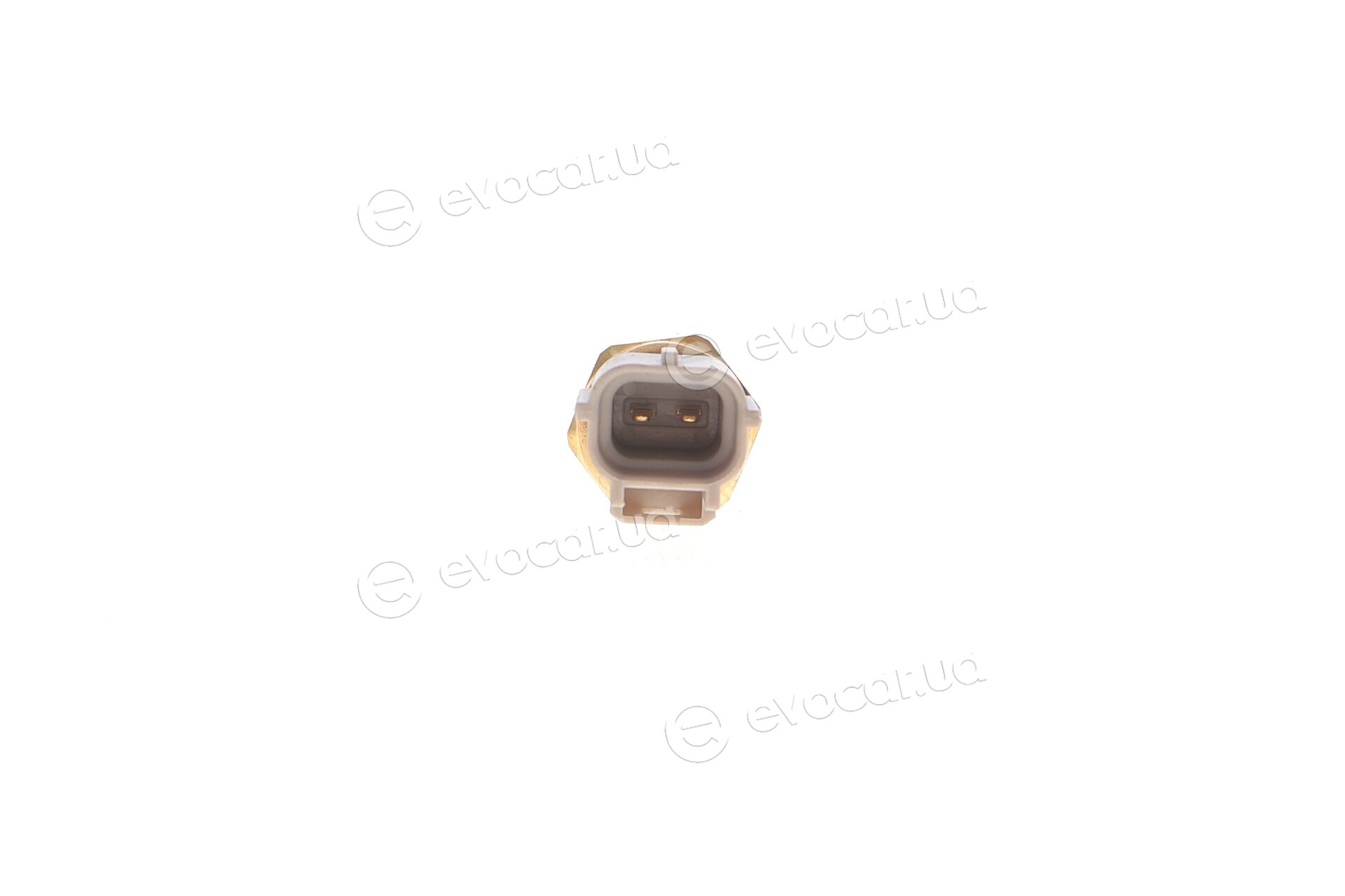 Kavo ECT-4505