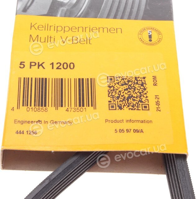 Continental 5PK1200