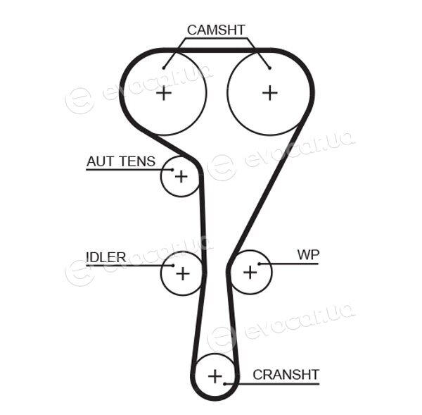 Gates K035550XS