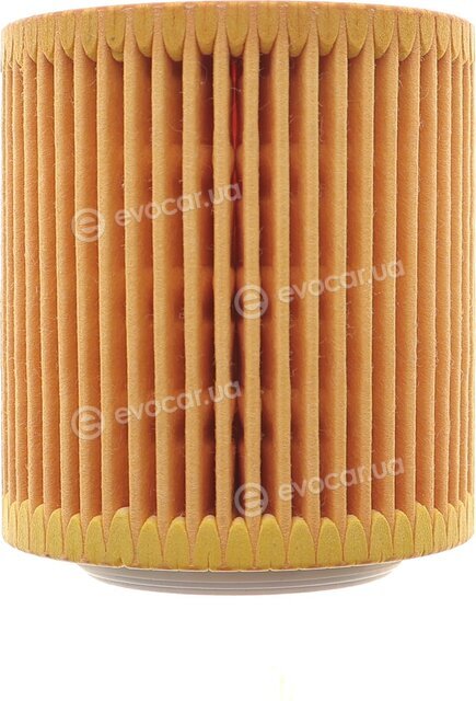 Solgy 101097