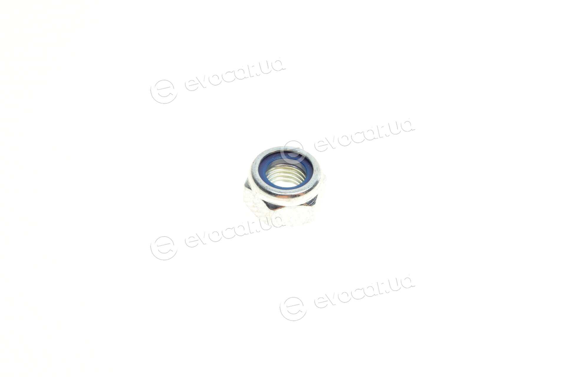 Solgy 203063