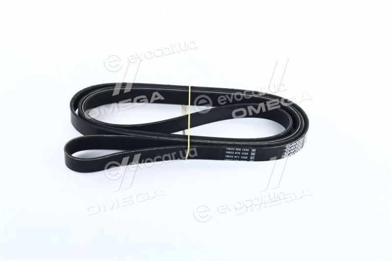 Dayco 6PK2504
