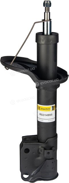 Raiso RS314995