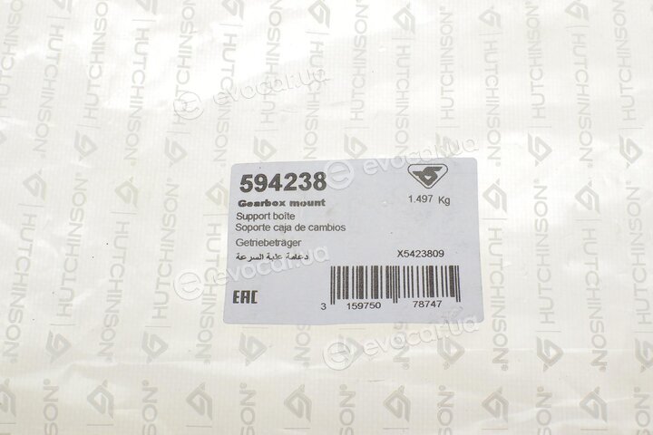 Hutchinson 594238