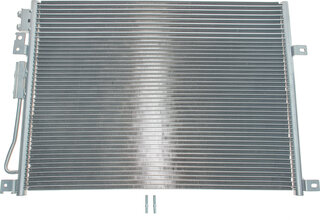 Van Wezel 21005045