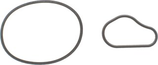 Bosch F 009 D00 783
