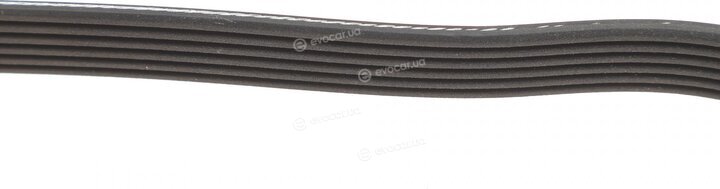 Dayco 6PK1765