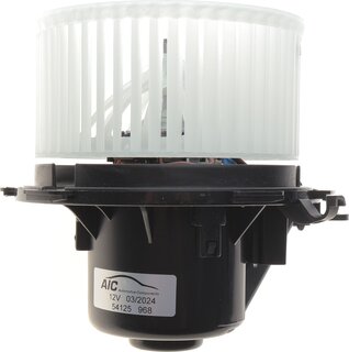 AIC 54125
