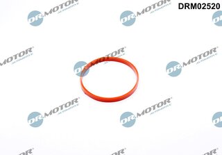 Dr. Motor DRM02520