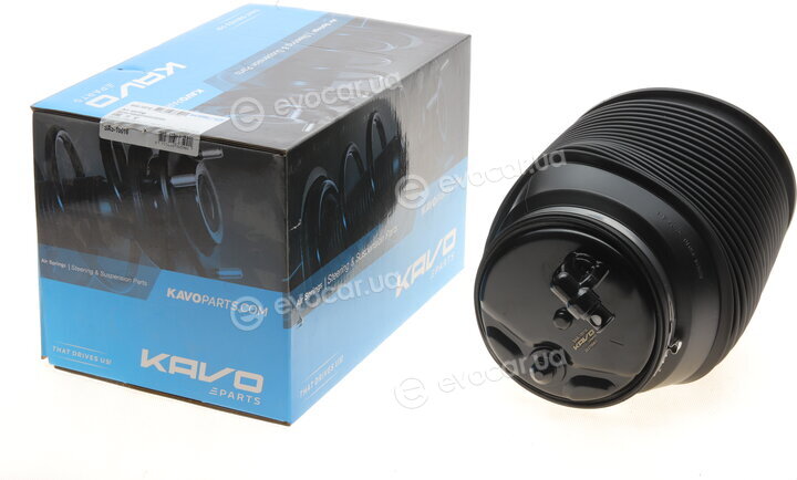 Kavo SAS-10016