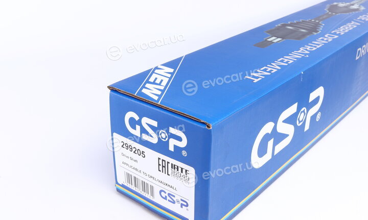 GSP 299205