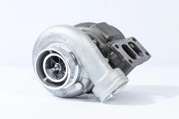 BorgWarner 318442
