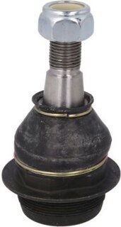 Reinhoch RH03-2047