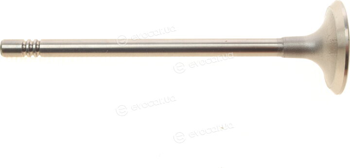 AMP PFOR247-S-0-N