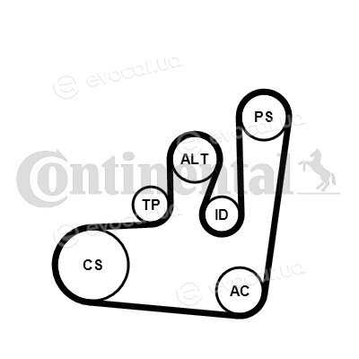 Continental 6PK1145WP1