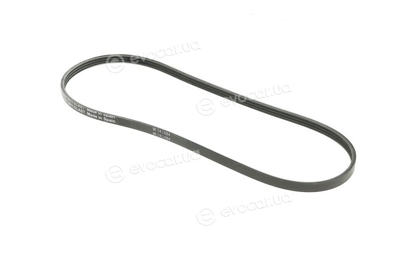 Continental 3PK894 ELAST