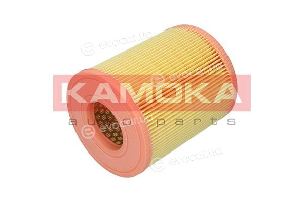 Kamoka F236501