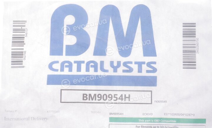BM Catalysts BM90954H