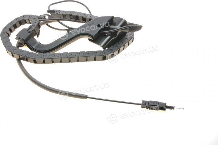 Solgy 306120