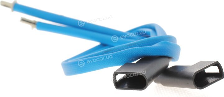 Icer 141794