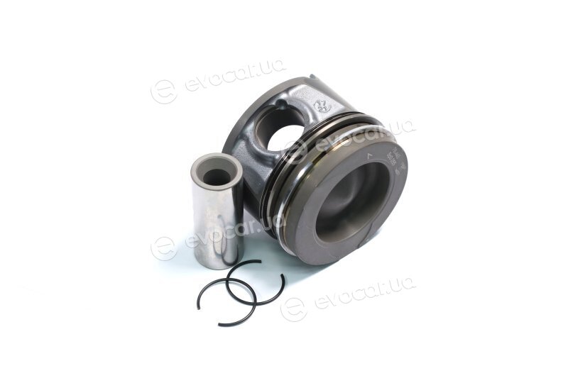 Mahle 021 PI 00124 002