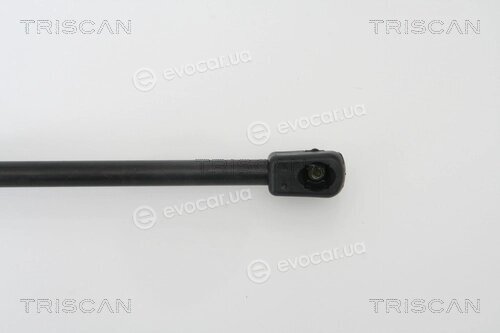 Triscan 8710 23210