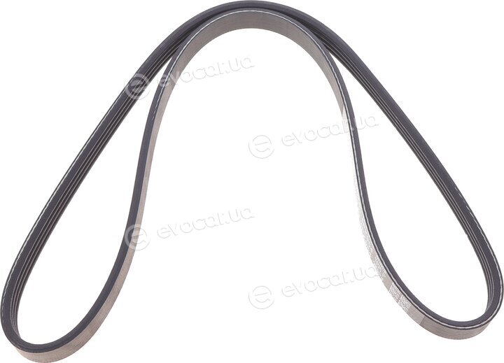 Dayco 4PK954