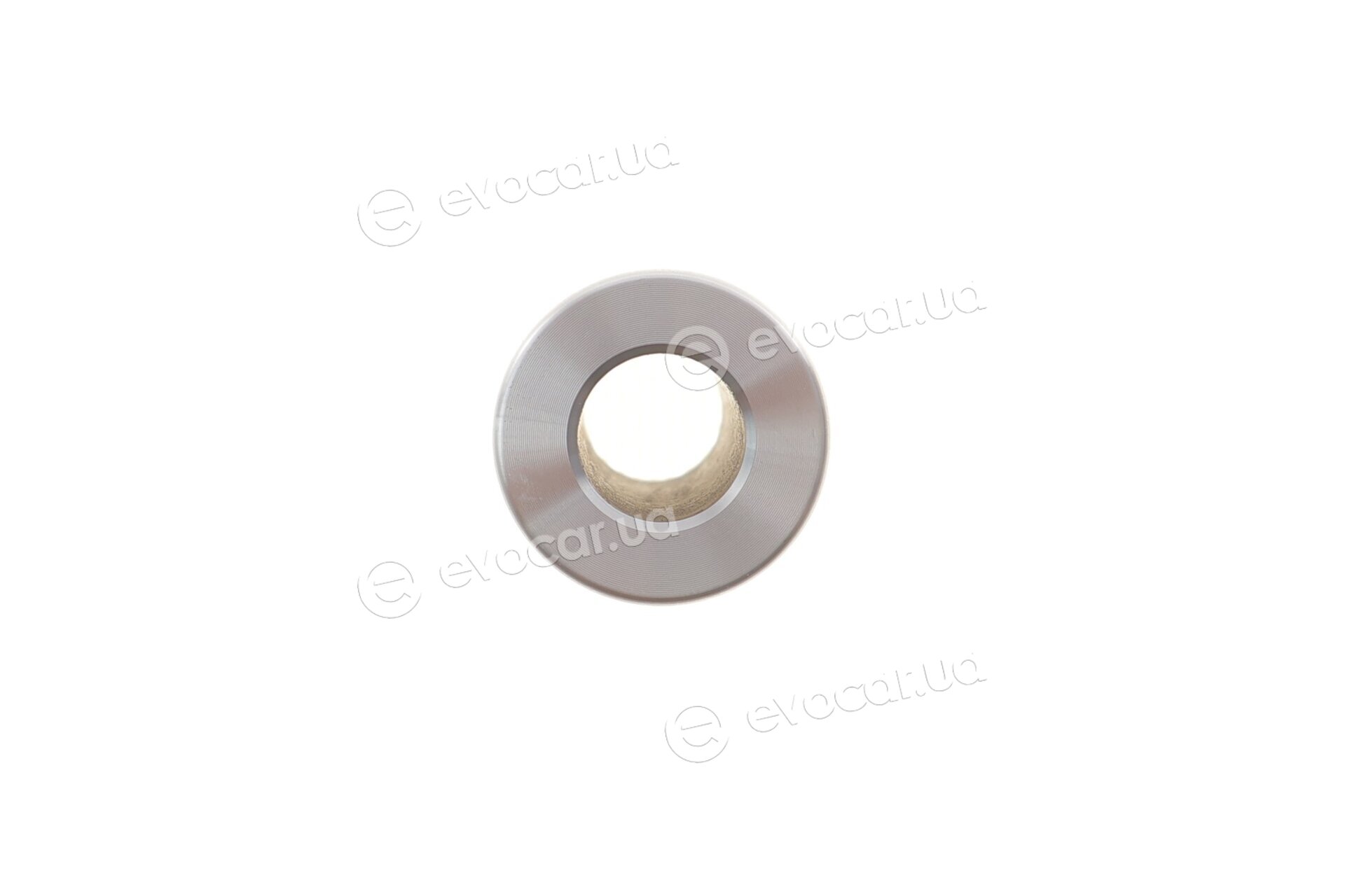 Mahle 029 82 13