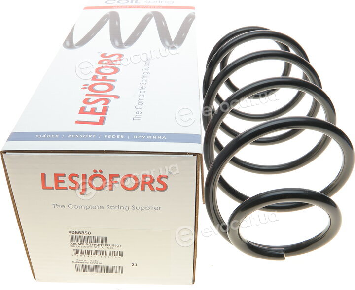Lesjofors 4066850