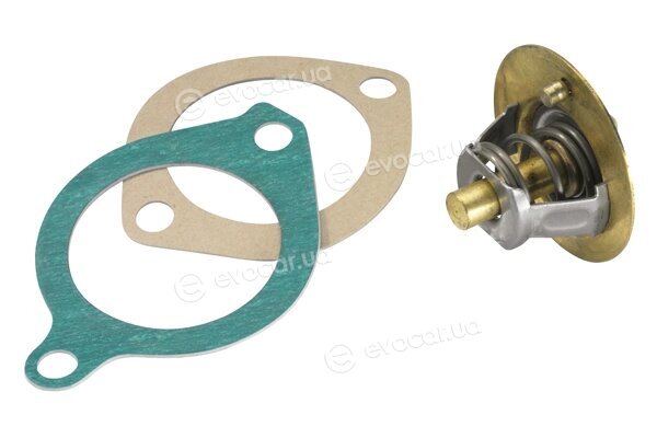 Wahler / BorgWarner 3119.82D3
