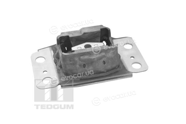 Tedgum 35055