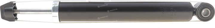 Solgy 211338