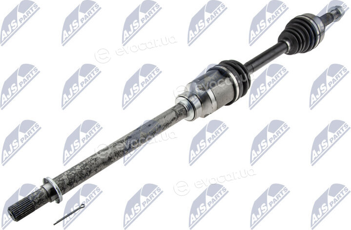 NTY NPW-NS-062