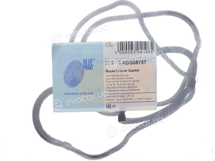 Blue Print ADG06757