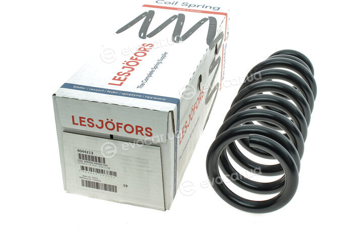 Lesjofors 4044213