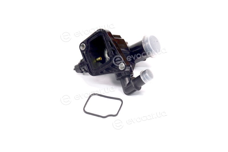 Sasic 3300011
