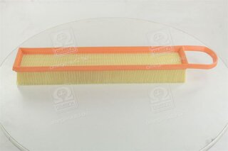 Champion CAF100921P
