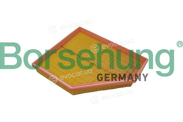 Borsehung B13062