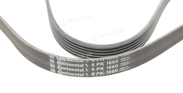 Continental 6PK1660