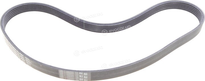 Continental 6PK1019 ELAST T1