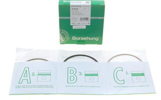 Borsehung B19039