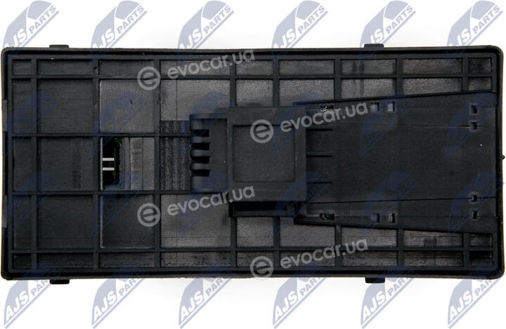NTY EWS-AU-019