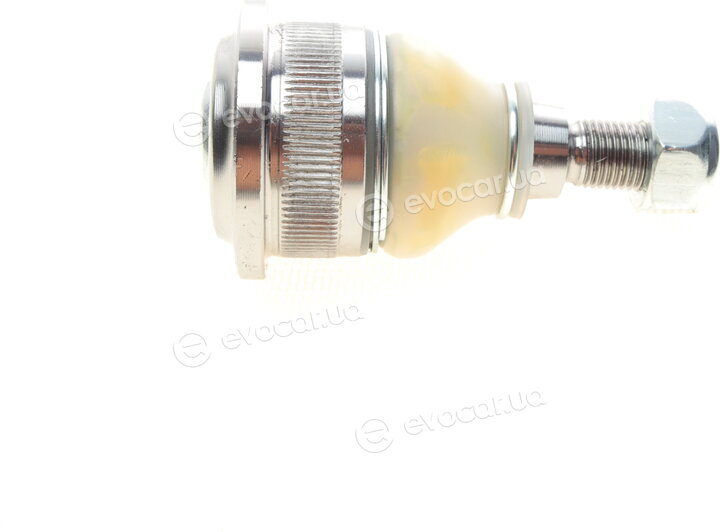 AS Metal 10RN5205