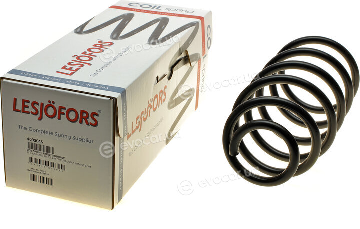 Lesjofors 4095045