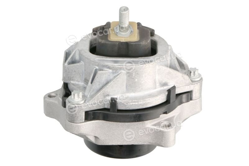 Tedgum TED91713